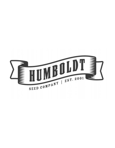GRANNY CANDY (Pack of 10) - HUMBOLDT SEED COMPANY