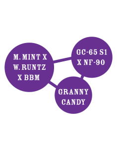 GRANNY CANDY (Pack of 10) - HUMBOLDT SEED COMPANY 2