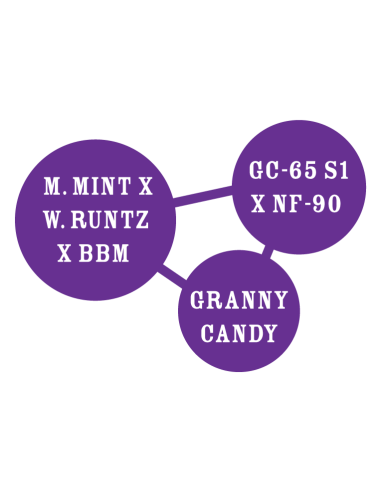 GRANNY CANDY (Pack of 10) - HUMBOLDT SEED COMPANY