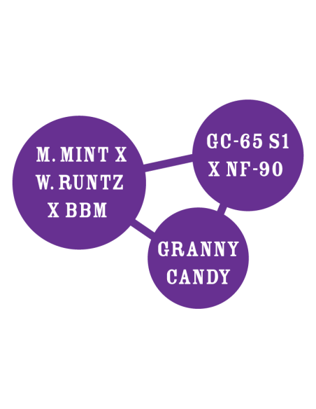 GRANNY CANDY (Pack of 10) - HUMBOLDT SEED COMPANY