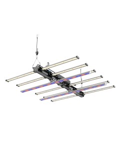 BLACK SERIES 600W + DIMMER - FUTURE OF GROW 2