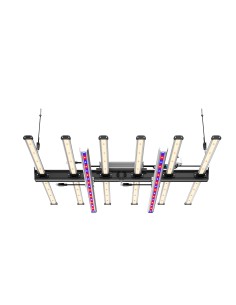 BLACK SERIES 600W + DIMMER - FUTURE OF GROW