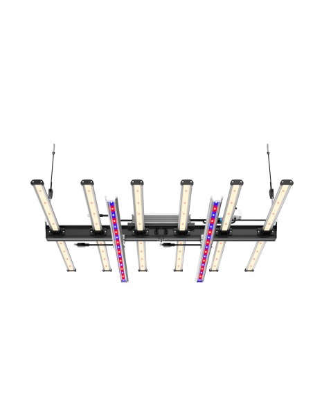 BLACK SERIES 600W + DIMMER - FUTURE OF GROW