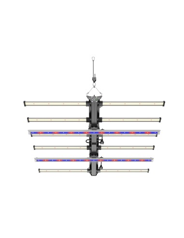 BLACK SERIES 600W + DIMMER - FUTURE OF GROW