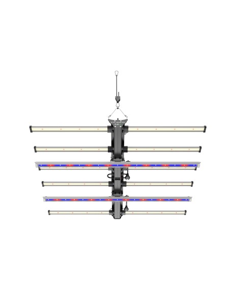 BLACK SERIES 600W + DIMMER - FUTURE OF GROW