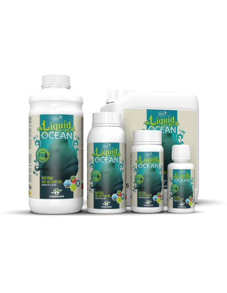 LIQUID OCEAN - HYDROPASSION