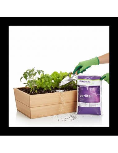 PERLITE 10L - PLAGRON