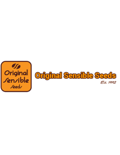 ORANGE OOZE - ORIGINAL SENSIBLE SEEDS 2