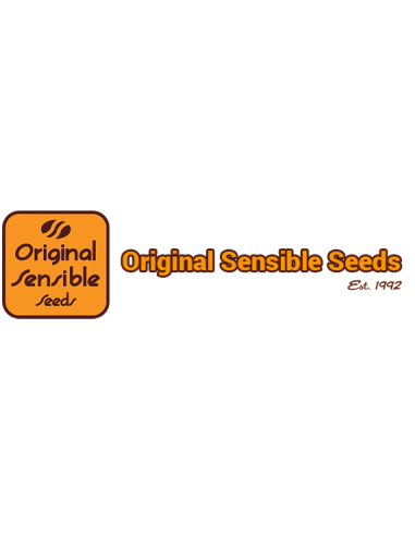 ORANGE OOZE - ORIGINAL SENSIBLE SEEDS