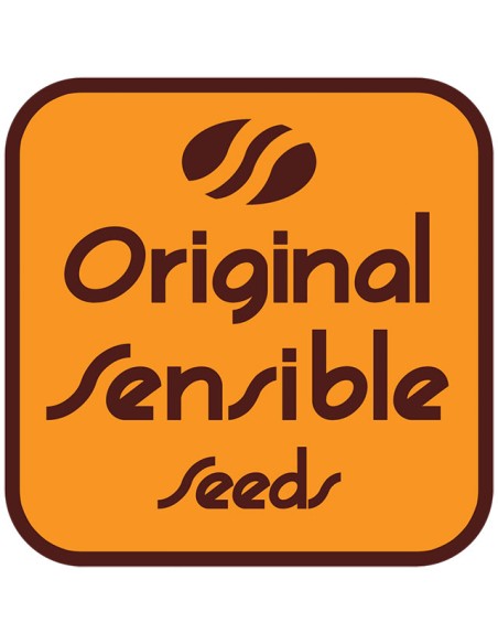 ORANGE OOZE - ORIGINAL SENSIBLE SEEDS
