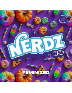 NERDZ - BSF SEEDS