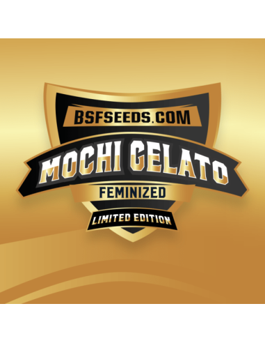 MOCHI GELATO - BSF SEEDS (Limited Edition)