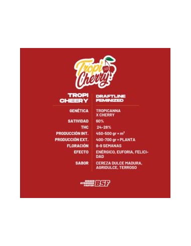 TROPICHERRY - BSF SEEDS