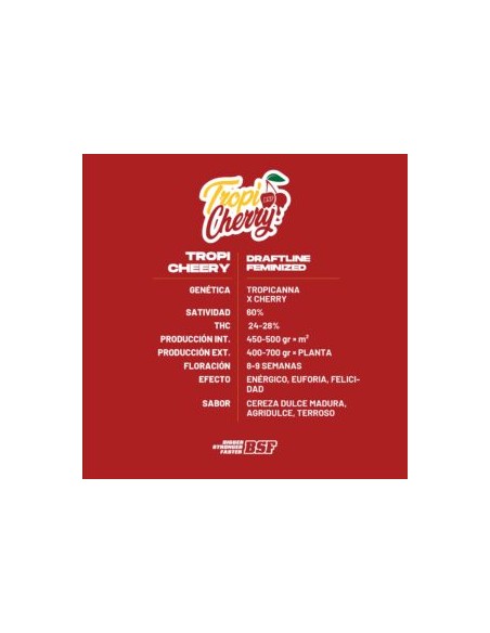 TROPICHERRY - BSF SEEDS
