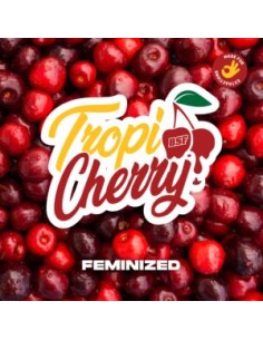 TROPICHERRY - BSF SEEDS