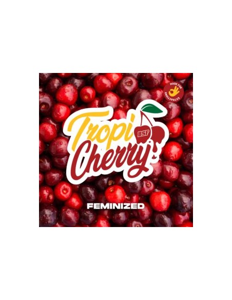 TROPICHERRY - BSF SEEDS