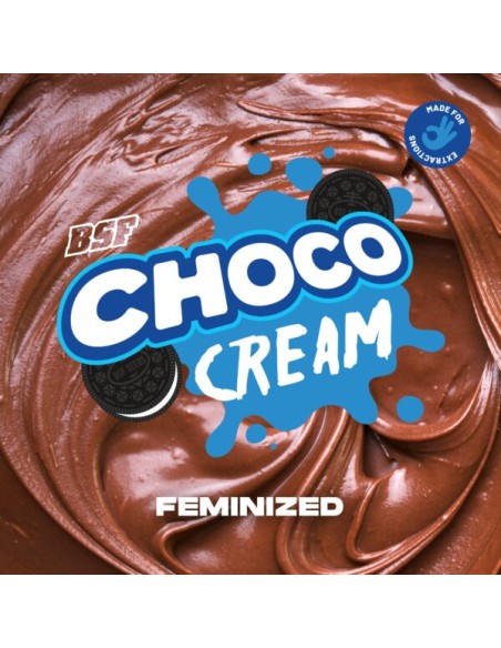 CHOCO CREAM - BSF SEEDS