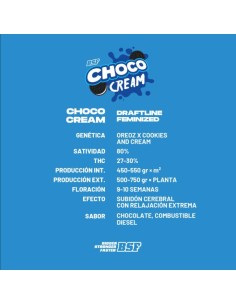 CHOCO CREAM - BSF SEEDS 2