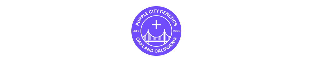 Purple City Genetics - Greenerz