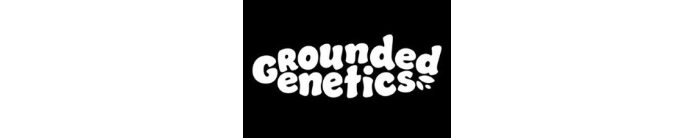 Grounded Genetics - Greenerz