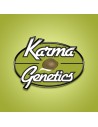 Karma Genetics