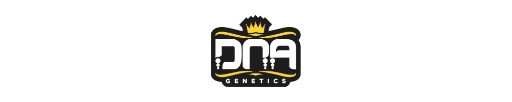 DNA Genetics - Greenerz