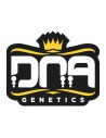 DNA Genetics