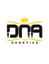 DNA Genetics