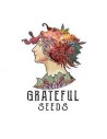 The Gratefull seeds